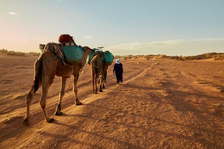Sahara Camp Hotel Adrouine ภายนอก รูปภาพ